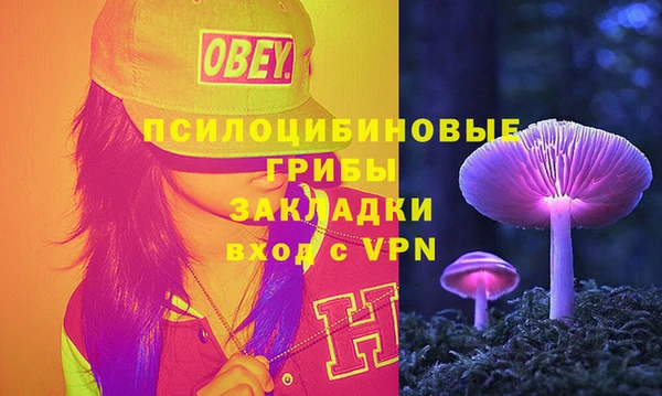 круглые Бронницы