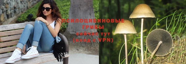 мескалин Бородино