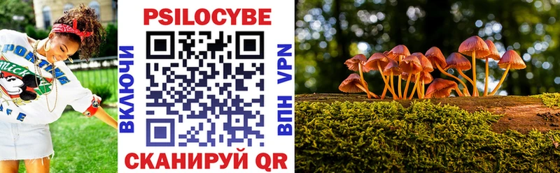 Псилоцибиновые грибы мицелий  Купить где  Тосно 